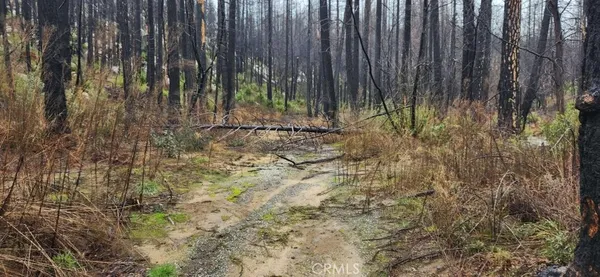 a view of small garden