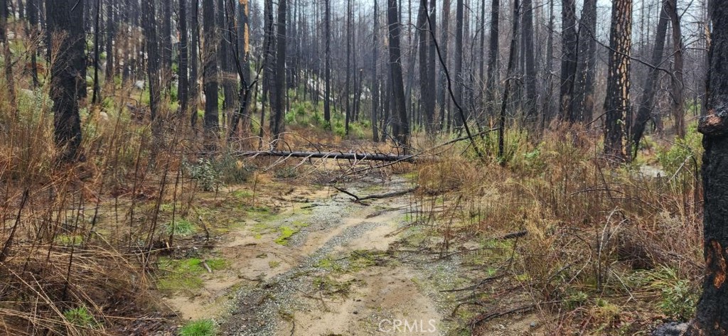 182 Gamble Road Berry Creek, CA 95916 - Photo 7 of 14 a view of a backyard