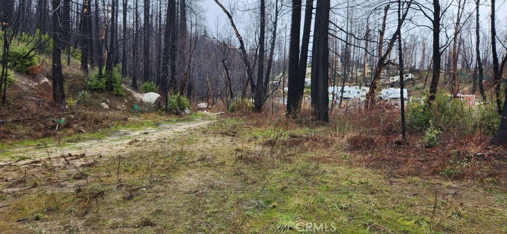182 Gamble Road Berry Creek, CA 95916 - Photo 9 of 14 a view of backyard with green space