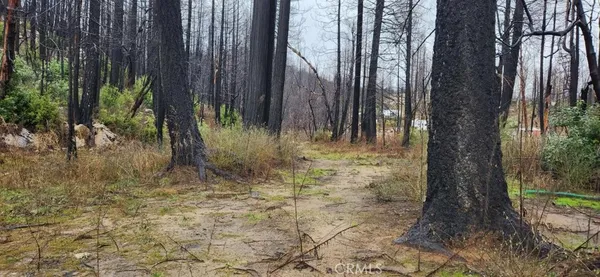a view of wooden fence