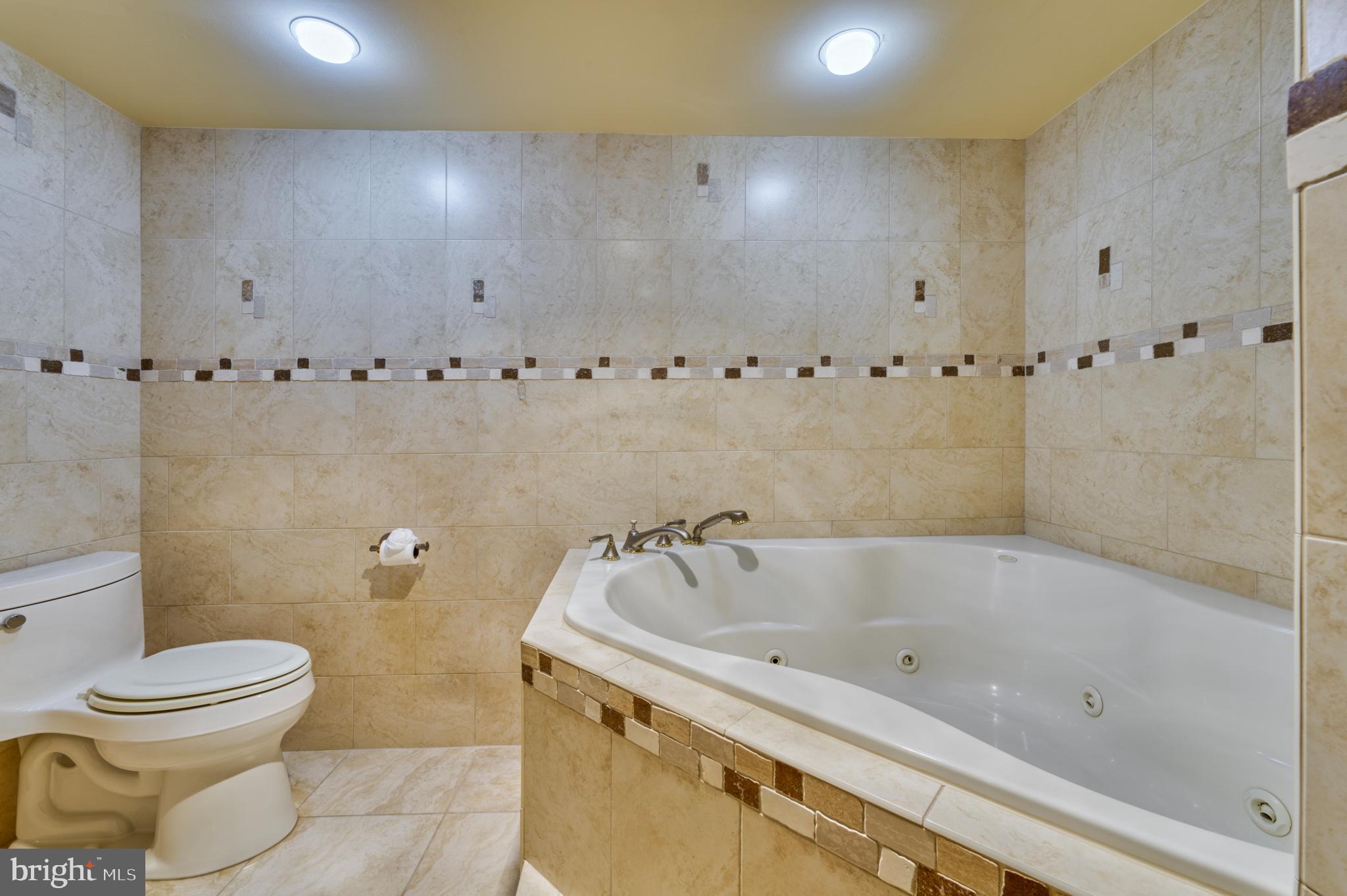 1101 South Arlington Ridge Road, Unit 616 Arlington, VA 22202 - Photo 43 of 57 Spa tub