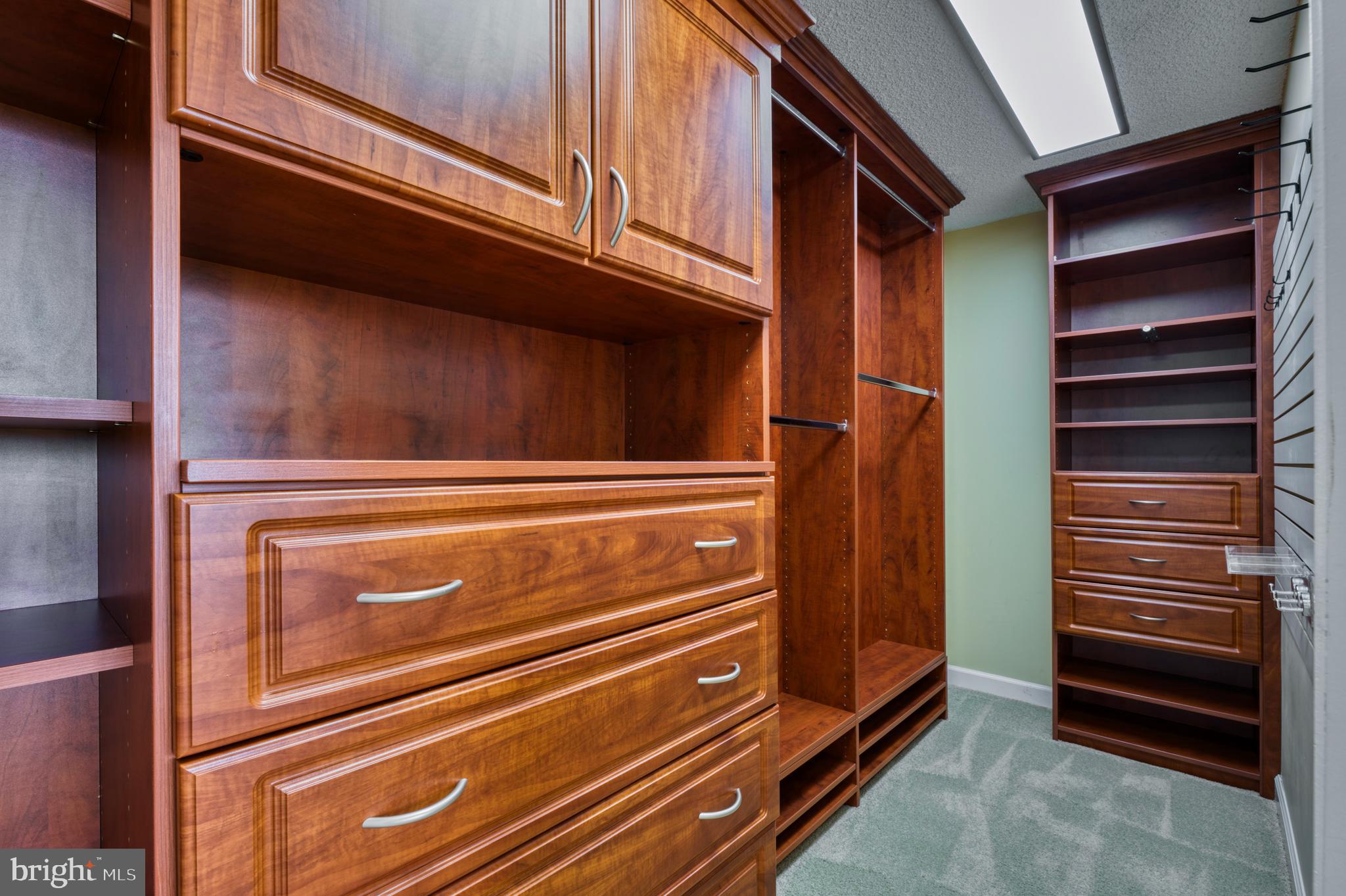 1101 South Arlington Ridge Road, Unit 616 Arlington, VA 22202 - Photo 45 of 57 Separate built in closet in Primary Bedroom