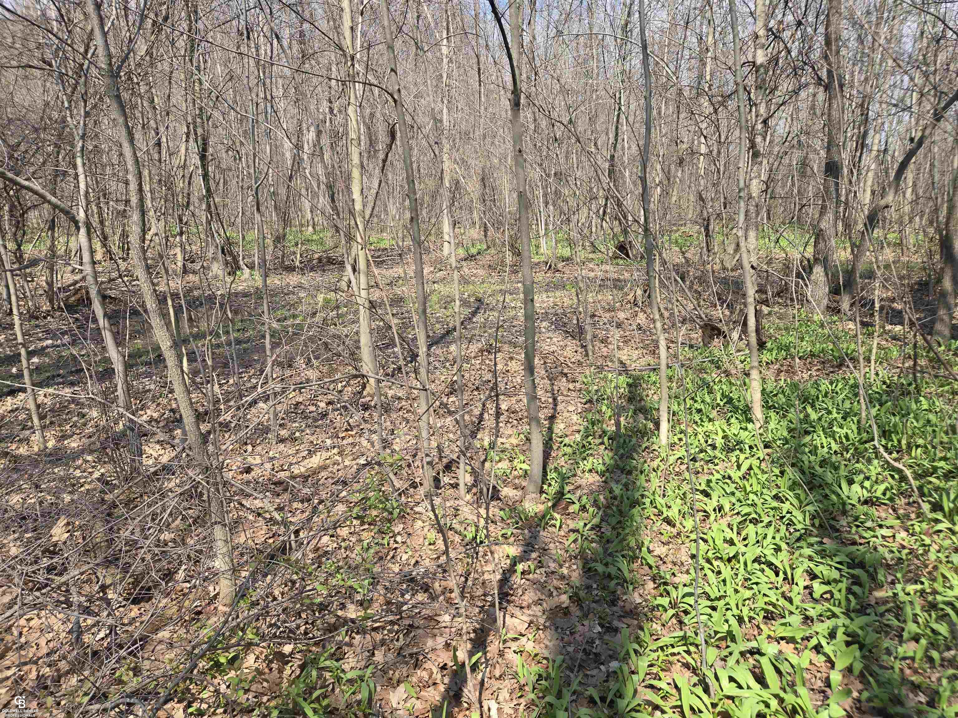 0 Range Vl Road Smiths Creek, MI 48074 - Photo 5 of 11