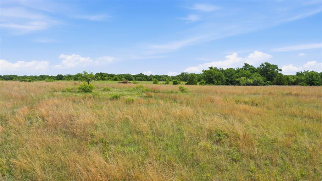 2050 Mustang Ridge Perrin, TX 76486 - Photo 12 of 25