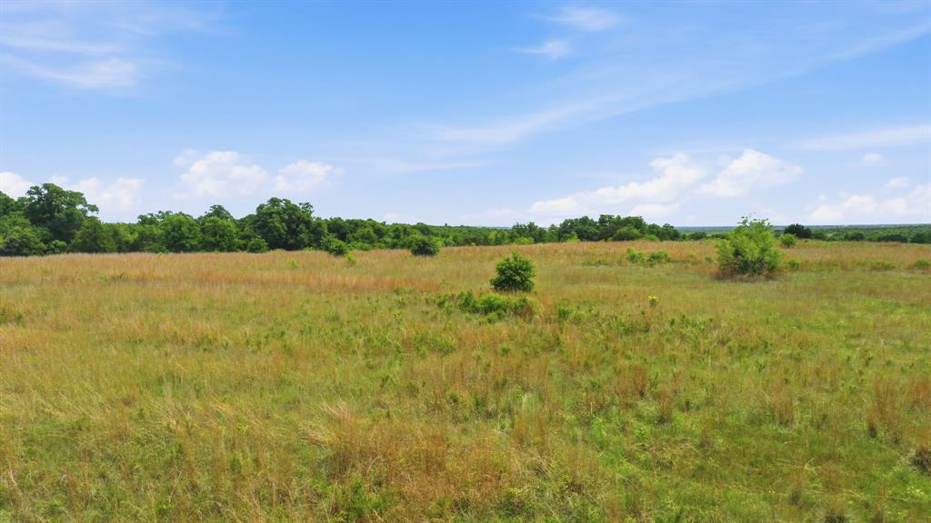 2050 Mustang Ridge Perrin, TX 76486 - Photo 13 of 25