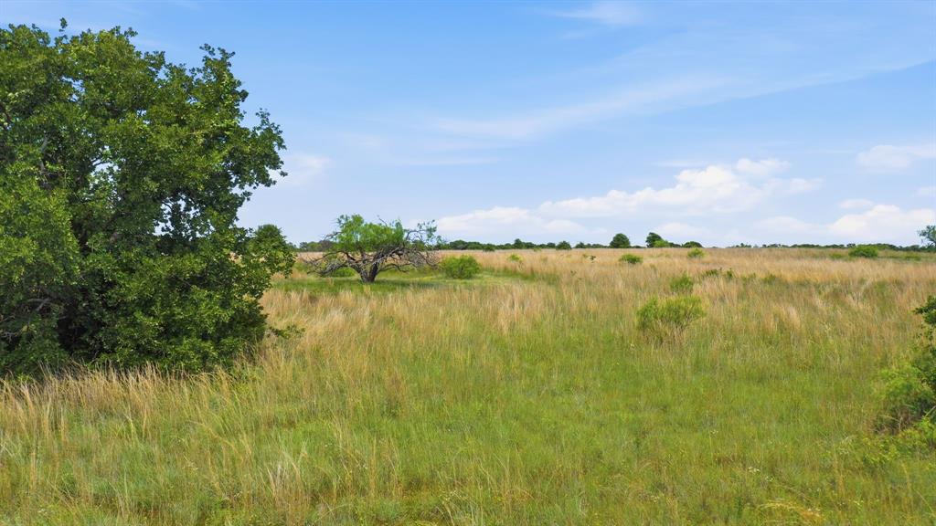 2050 Mustang Ridge Perrin, TX 76486 - Photo 16 of 25