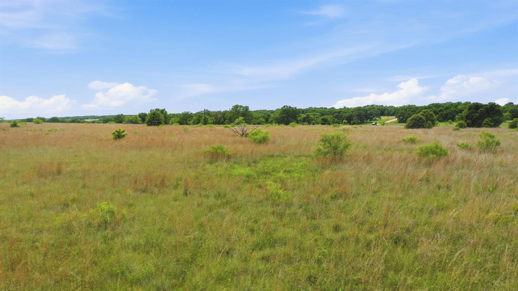 2050 Mustang Ridge Perrin, TX 76486 - Photo 19 of 25