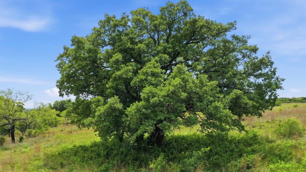 2050 Mustang Ridge Perrin, TX 76486 - Photo 22 of 25
