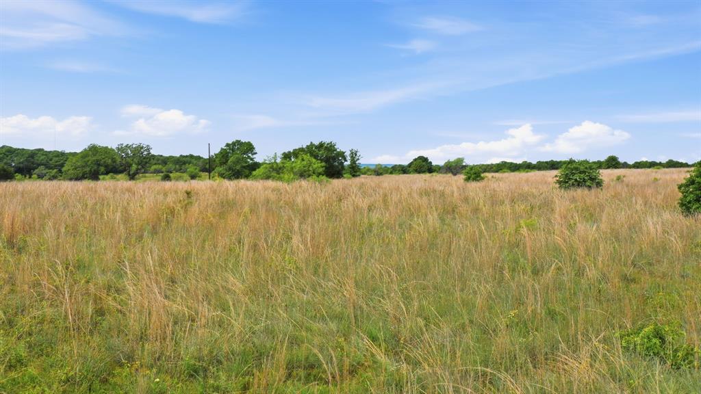 2050 Mustang Ridge Perrin, TX 76486 - Photo 24 of 25