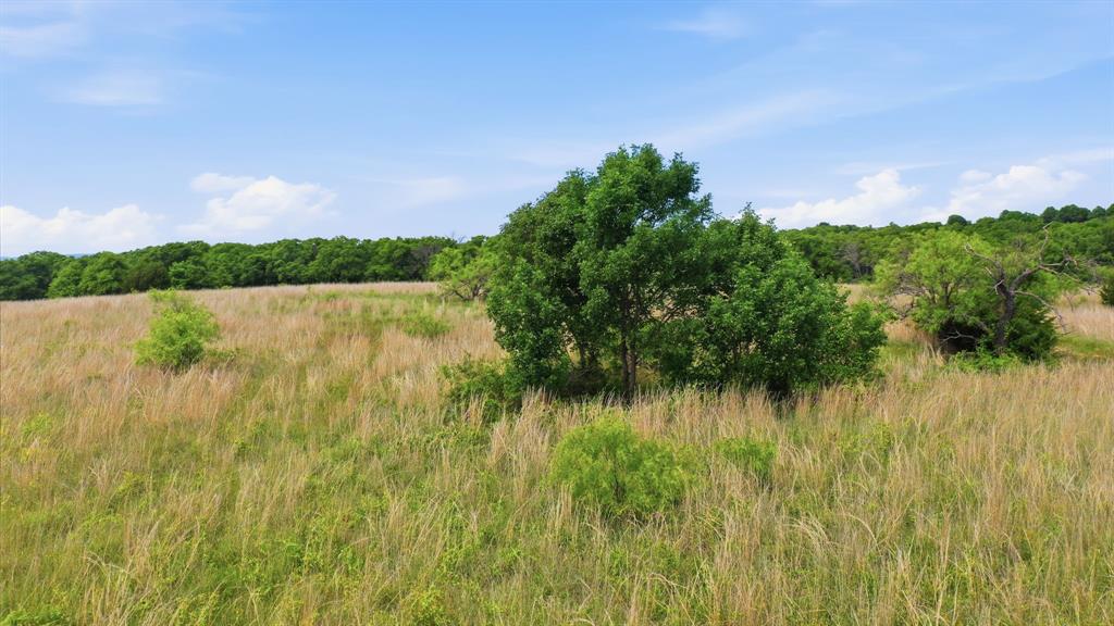 2050 Mustang Ridge Perrin, TX 76486 - Photo 10 of 25