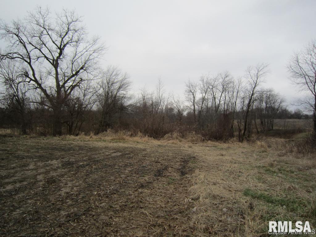 Oak Street Rochester, IL 62563 - Photo 11 of 13