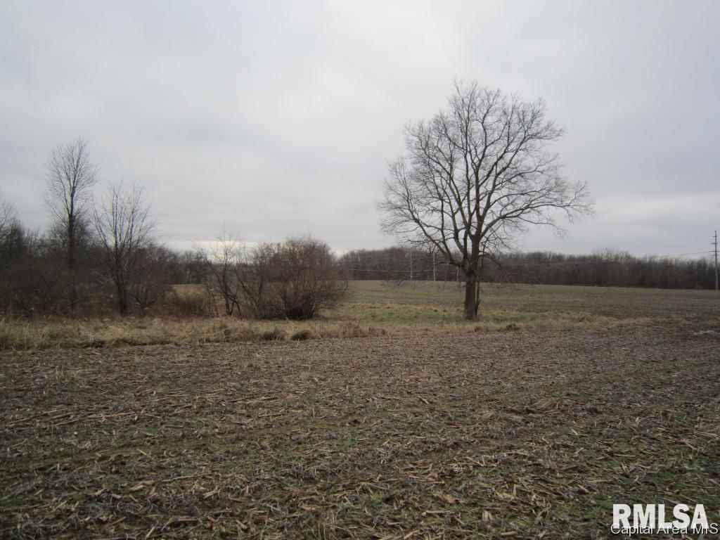 Oak Street Rochester, IL 62563 - Photo 5 of 13