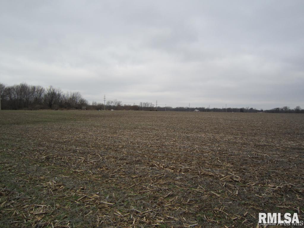Oak Street Rochester, IL 62563 - Photo 6 of 13