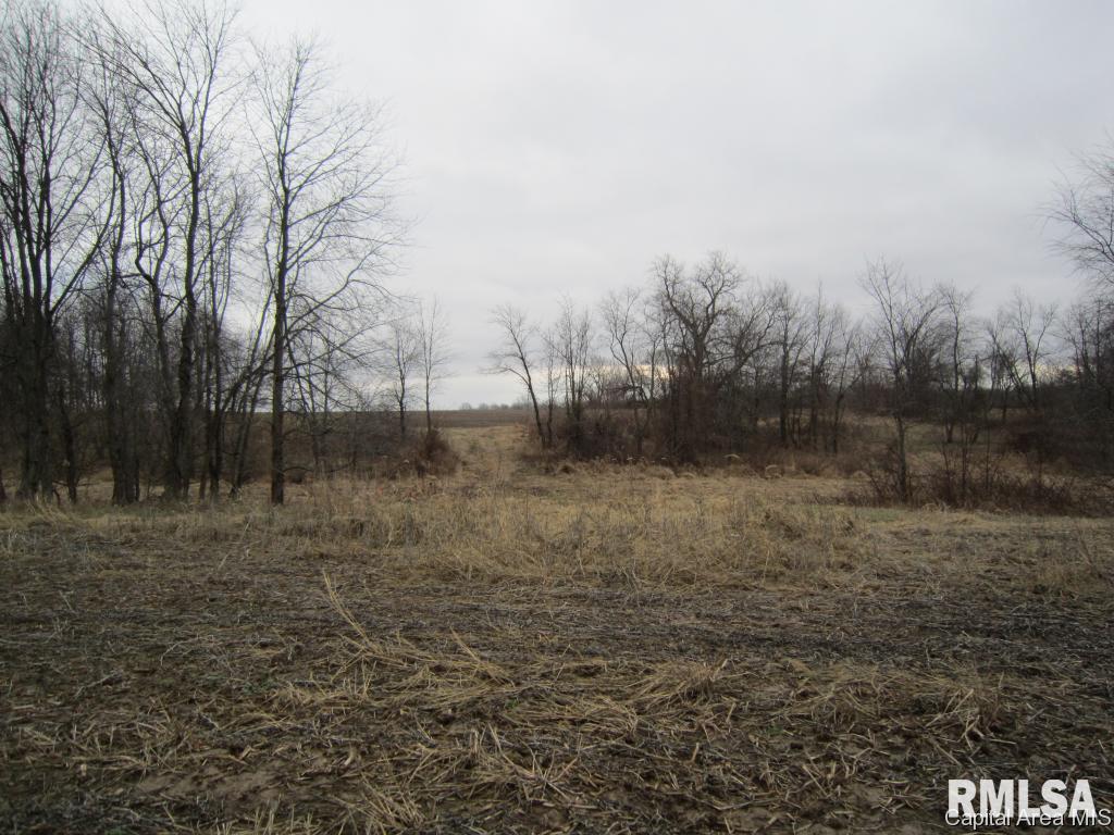 Oak Street Rochester, IL 62563 - Photo 7 of 13