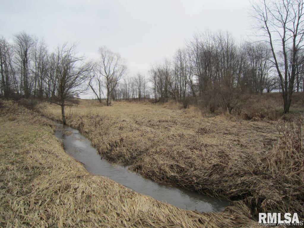 Oak Street Rochester, IL 62563 - Photo 8 of 13