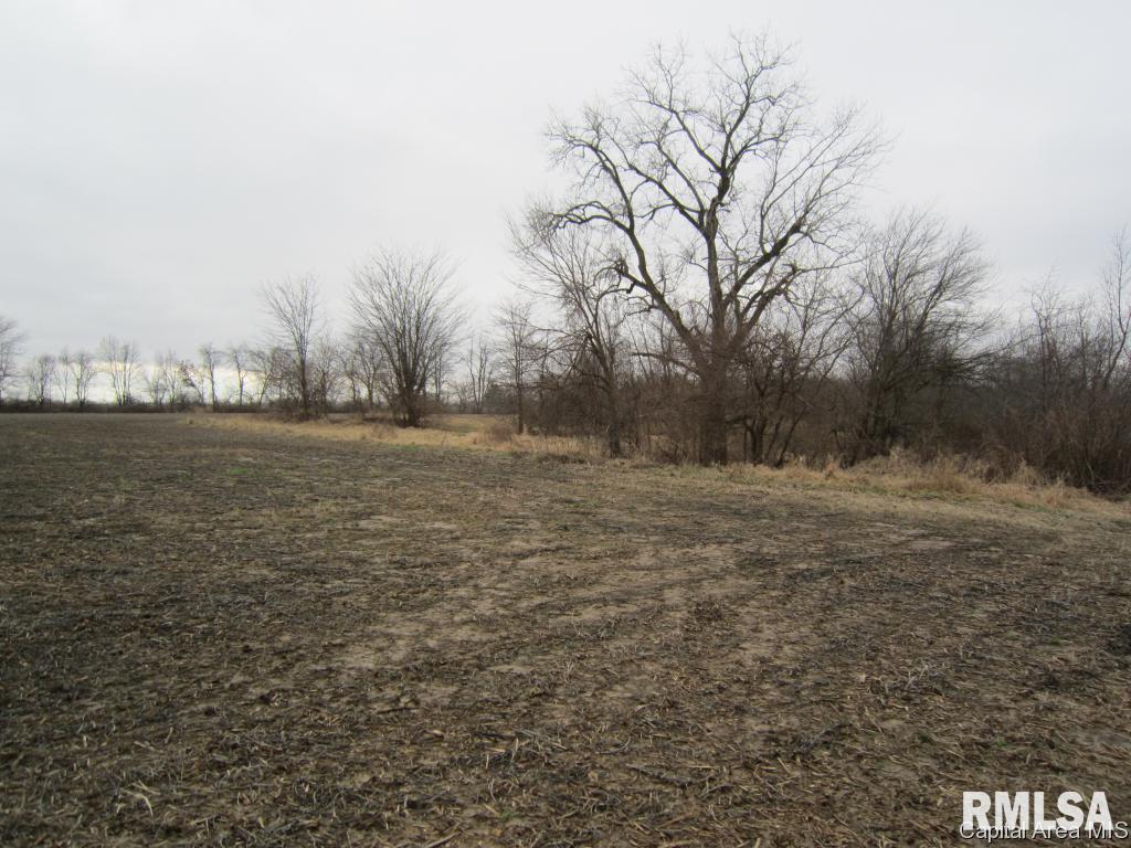 Oak Street Rochester, IL 62563 - Photo 10 of 13