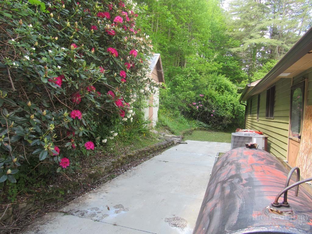 805 Ed Little Road Warrensville, NC 28693 - Photo 8 of 49 a view of a backyard with potted plants