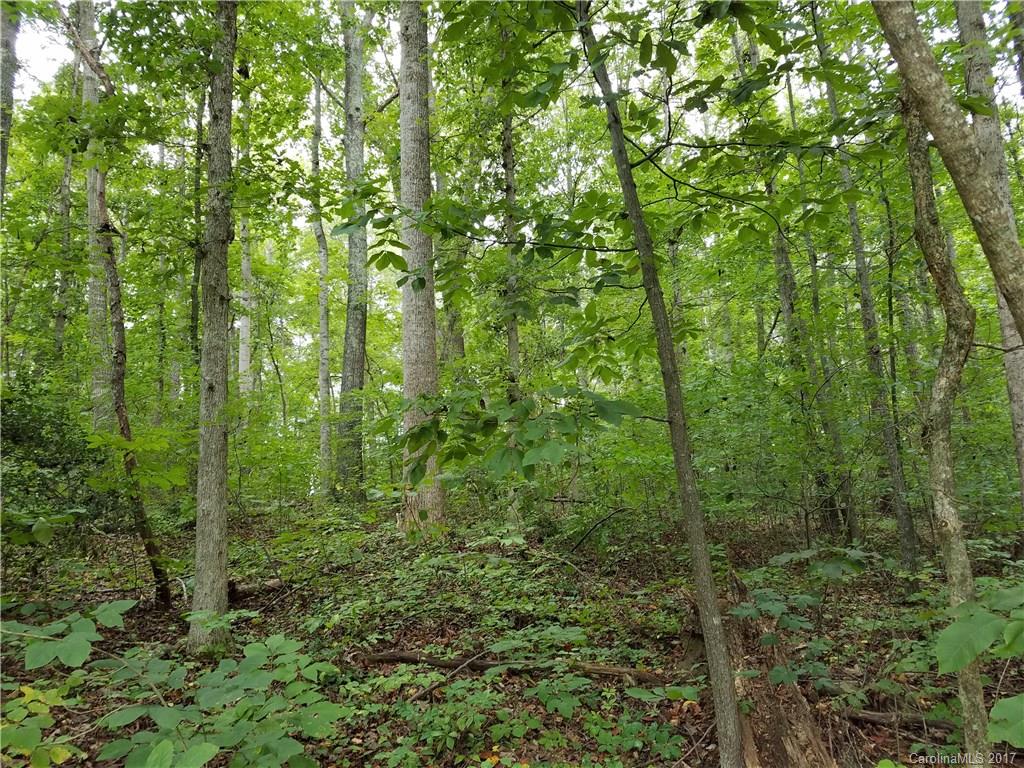5522 Flay Road Cherryville, NC 28021 - Photo 4 of 12 Gallery Image 4