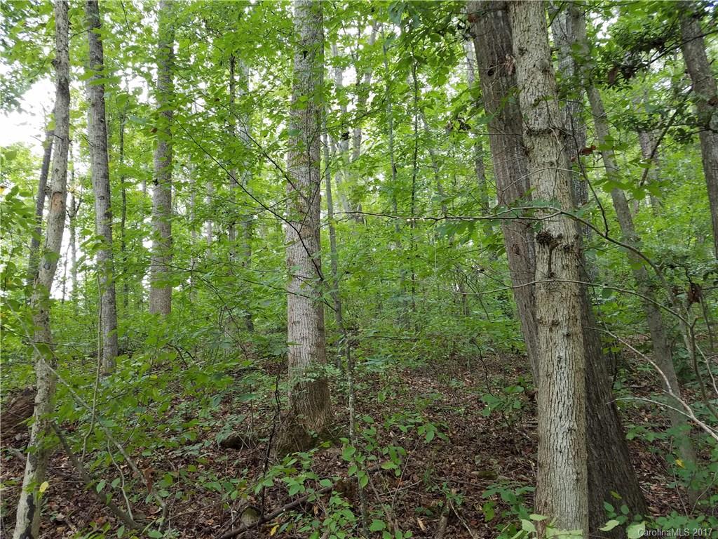 5522 Flay Road Cherryville, NC 28021 - Photo 6 of 12 Gallery Image 6
