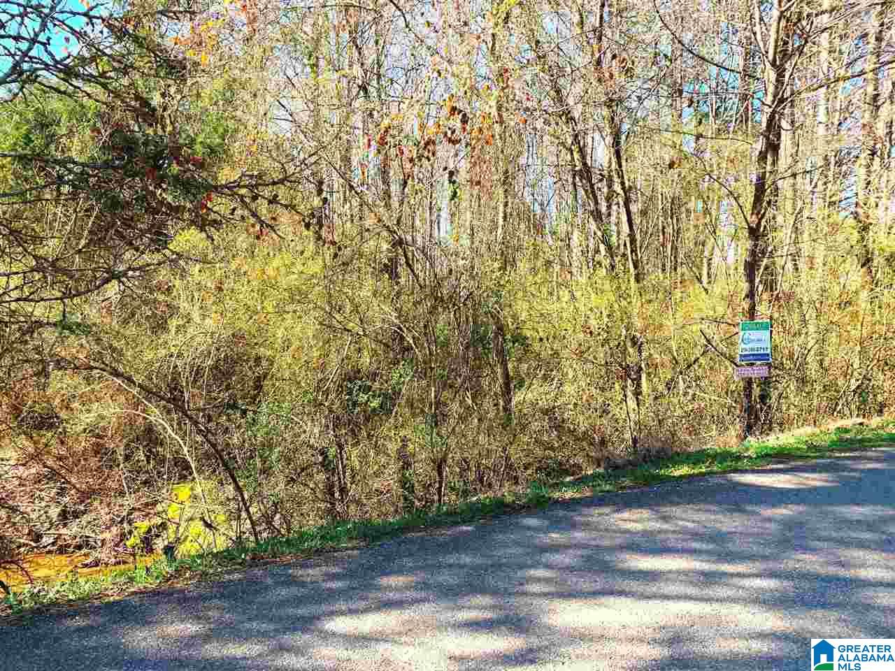 Blake Street, Unit 1 9ACRES Heflin, AL 36264 - Photo 2 of 7