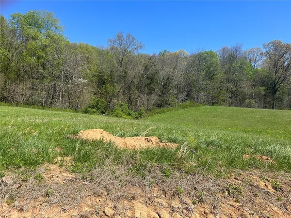 $50,000 | 6 Cr 528 Fredericktown Mo 63645, Fredericktown, MO 63645