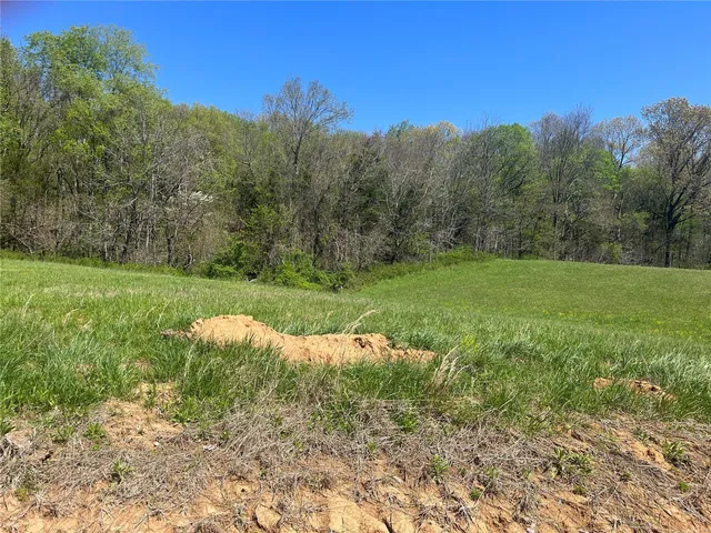 $50,000 | 6 Cr 528 Fredericktown Mo 63645, Fredericktown, MO 63645