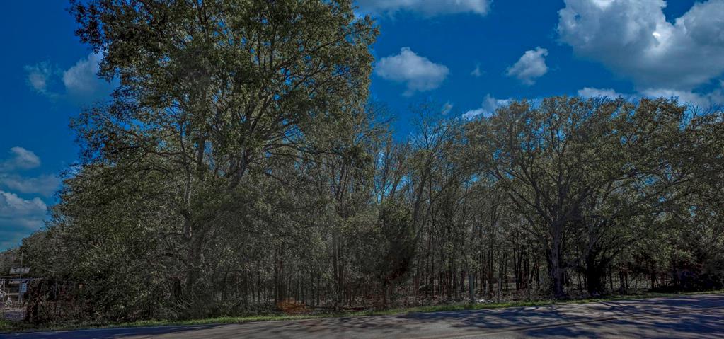 1718 West Main Street Lancaster, TX 75146 - Photo 3 of 3 View of road