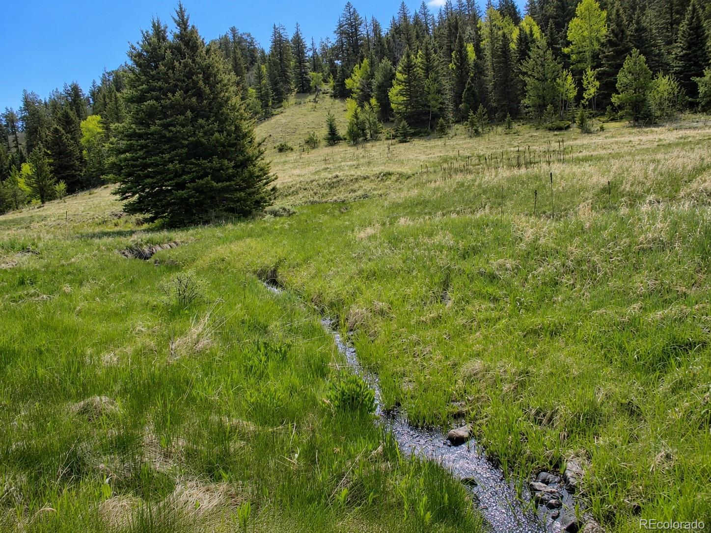 Lot 1 Co Road Westcliffe, CO 81252 - Photo 10 of 42