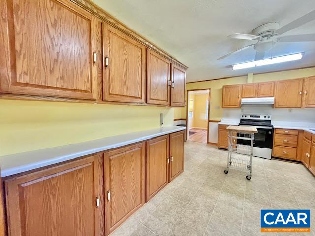 4293 Hamm Road Barboursville, VA 22923 - Photo 16 of 48 Lots of cabinetry