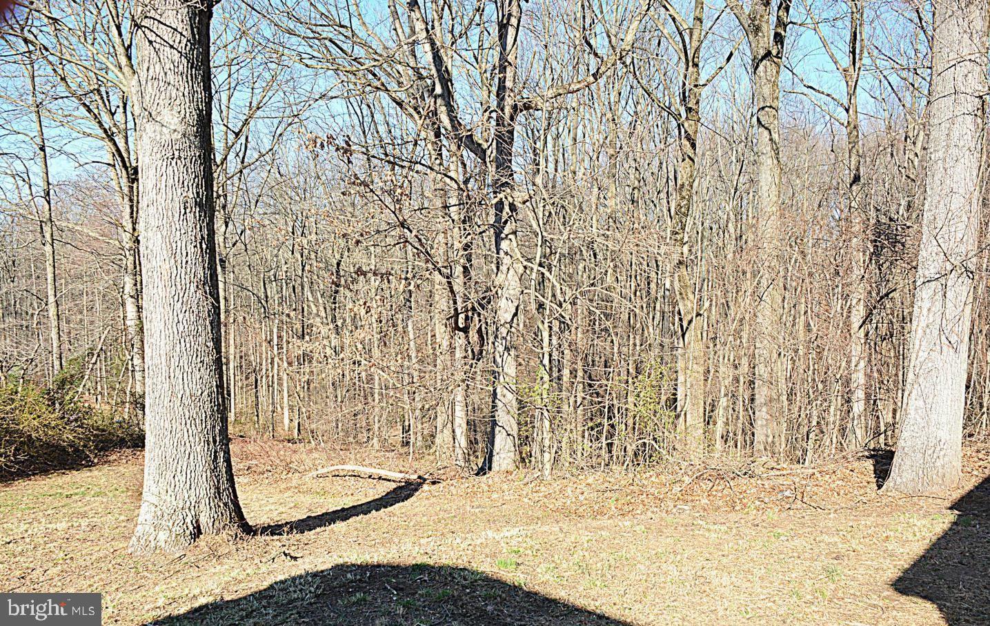 8717 Windsor Mill Road Windsor Mill, MD 21244 - Photo 3 of 7