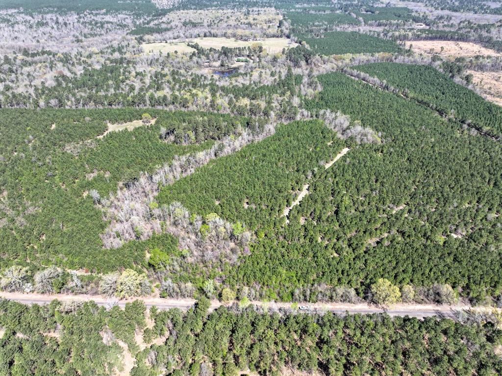 10 United Gas Road 2 Rodessa, LA 71069 - Photo 2 of 13 a view of a green field