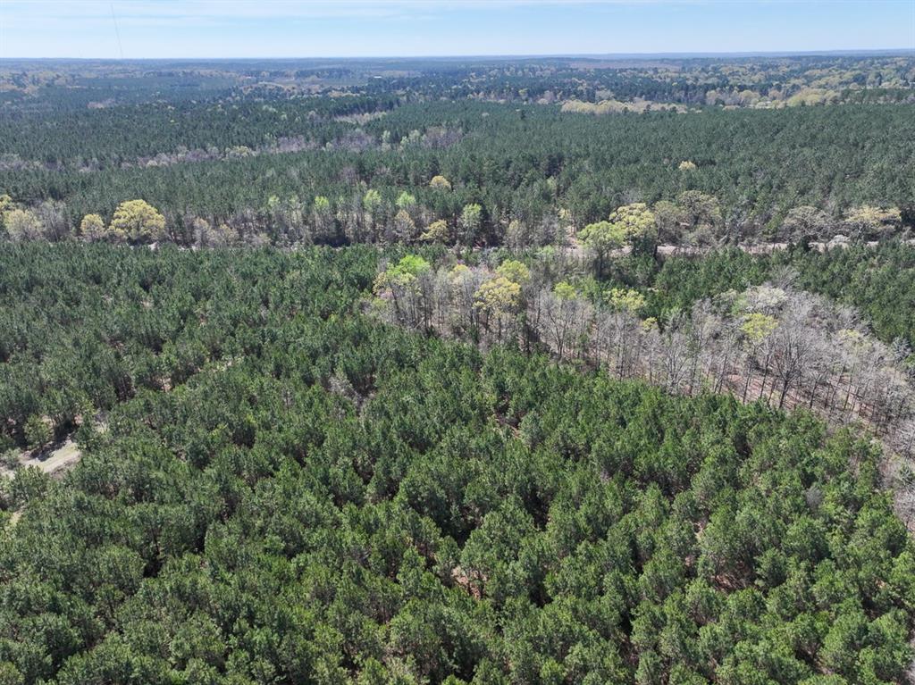 10 United Gas Road 2 Rodessa, LA 71069 - Photo 6 of 13 an aerial view of a houses with a lush green hillside