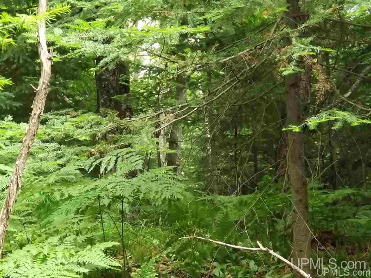 Tbd Ford Farm Road Skanee, MI 49962 - Photo 15 of 27