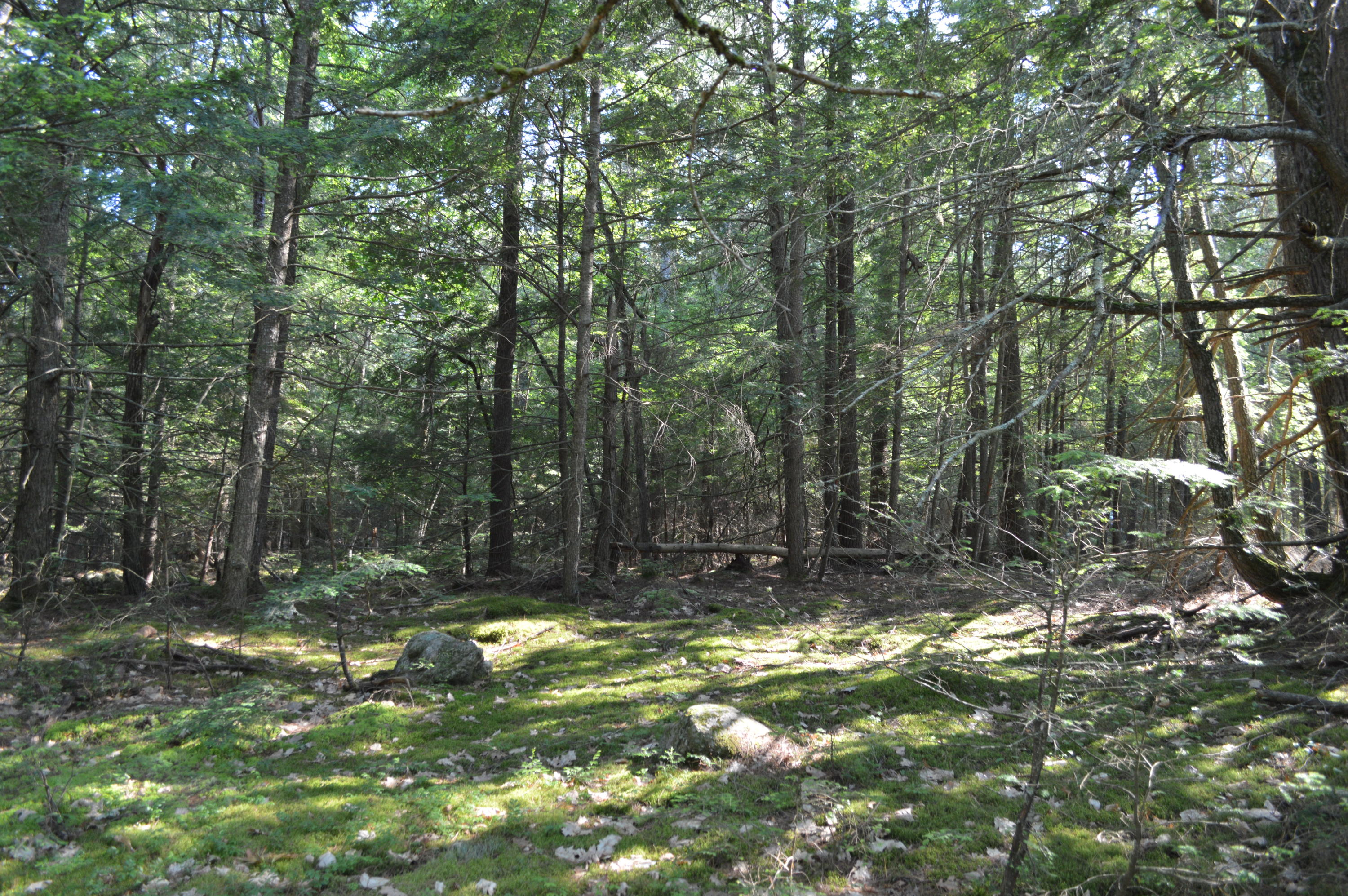 0 Johnson Road Windham, ME 04062 - Photo 21 of 24 .