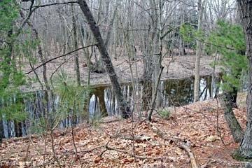3235 Sand Road Port Austin, MI 48467 - Photo 13 of 13 3235SandRdRiver.jpg