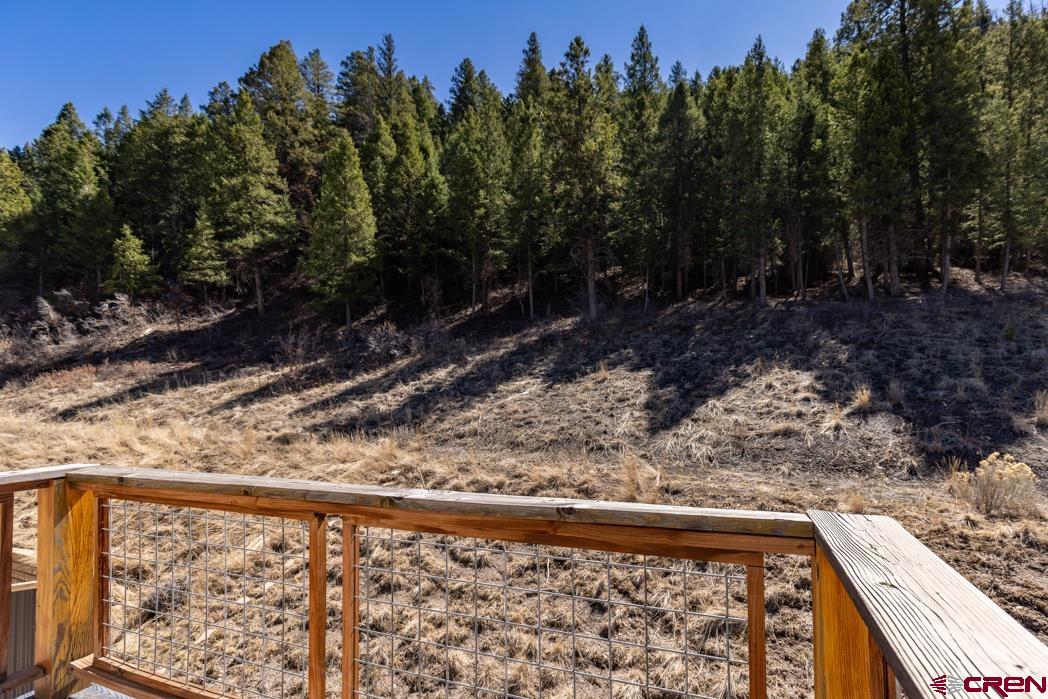 102 Spring Creek Village Place Durango, CO 81301 - Photo 25 of 28