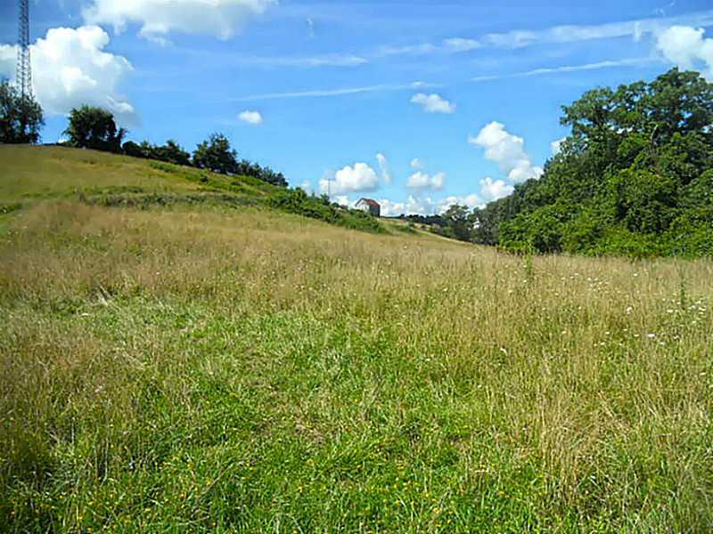 78 Amity Ridge Road Amity, PA 15311 - Photo 17 of 19 Land/Lot.
