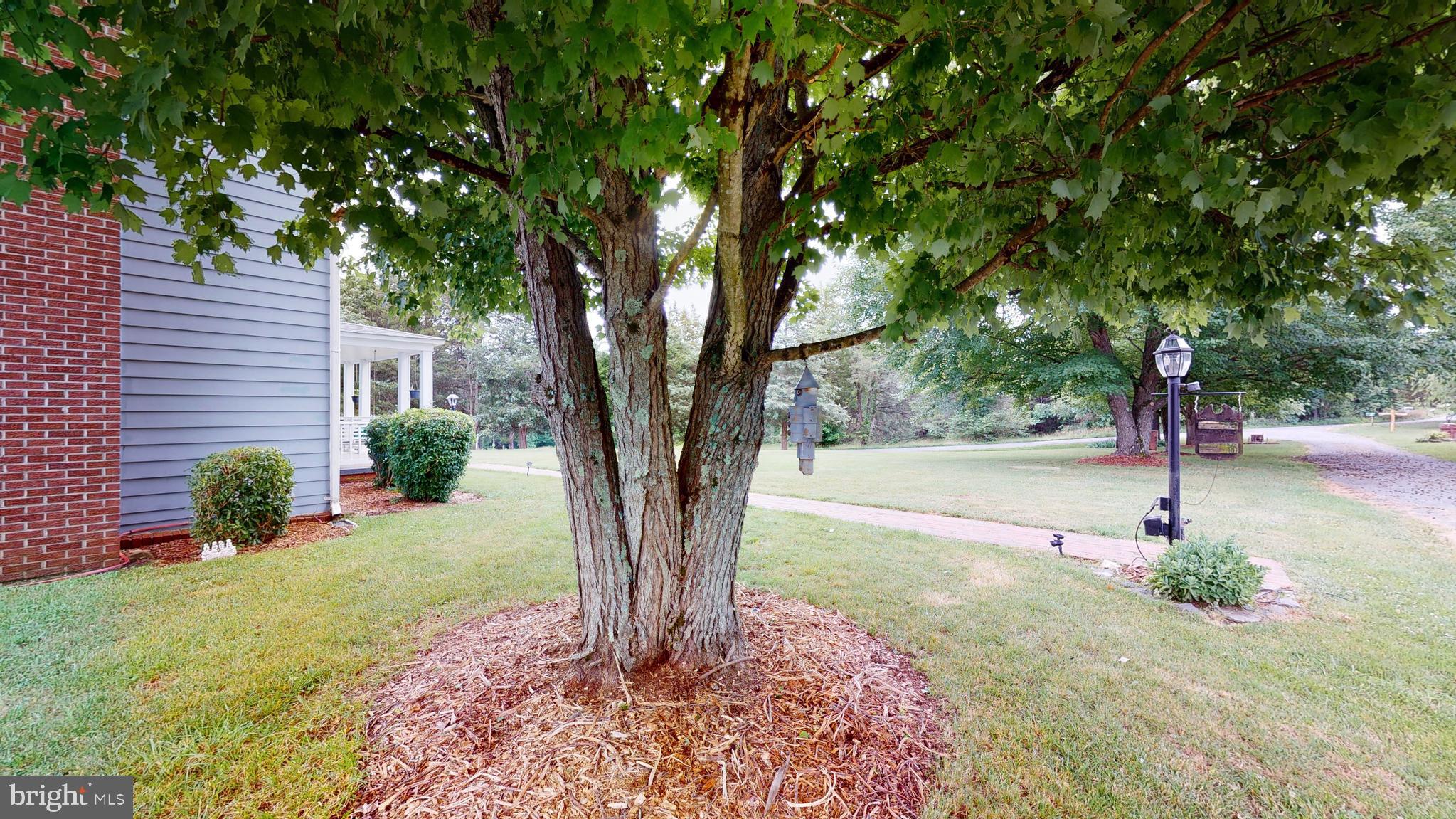 4500 Burr Hill Road Rhoadesville, VA 22542 - Photo 28 of 89 Gallery Image 28