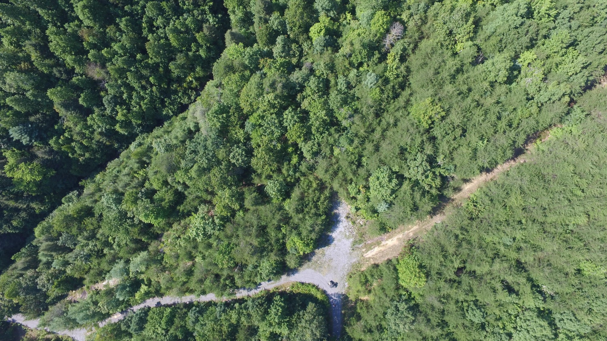 442 Back Valley Road Dayton, TN 37321 - Photo 10 of 21