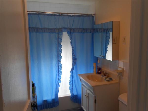 14 Birchcroft Road Boston, MA 02136 - Photo 8 of 22 Gallery Image 8