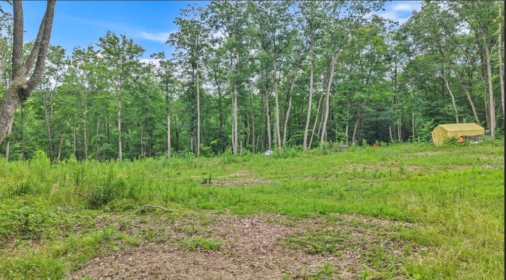 0 Tommy Ridge Road Odd, WV 25902 - Photo 6 of 18 Gallery Image 6