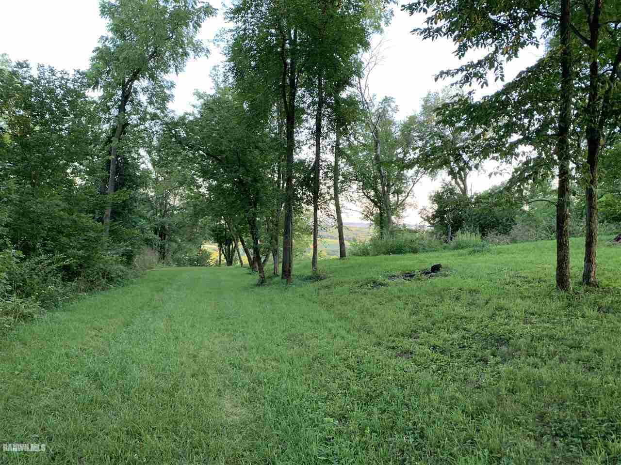 307 North Snipehollow Road Elizabeth, IL 61028 - Photo 4 of 17 a view of a lush green space