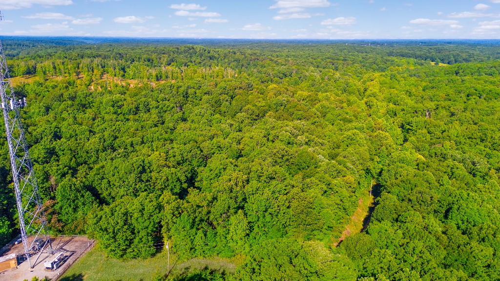 2701 Gray Branch Road McEwen, TN 37101 - Photo 4 of 15 Gallery Image 4