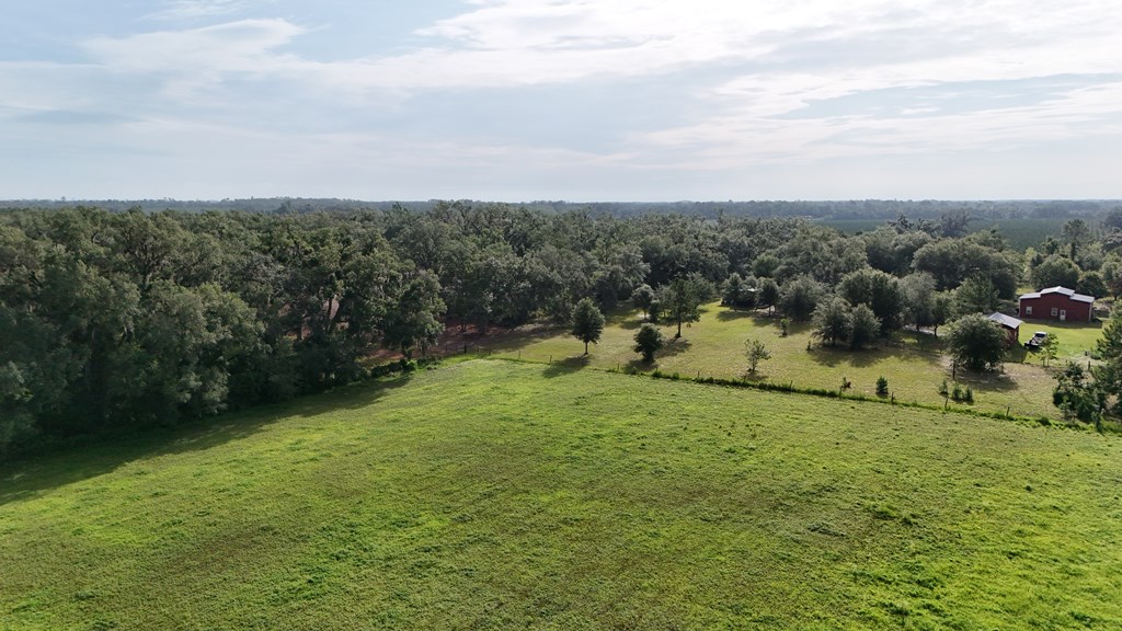 Vacant 145th Road Live Oak, FL 32060 - Photo 10 of 42