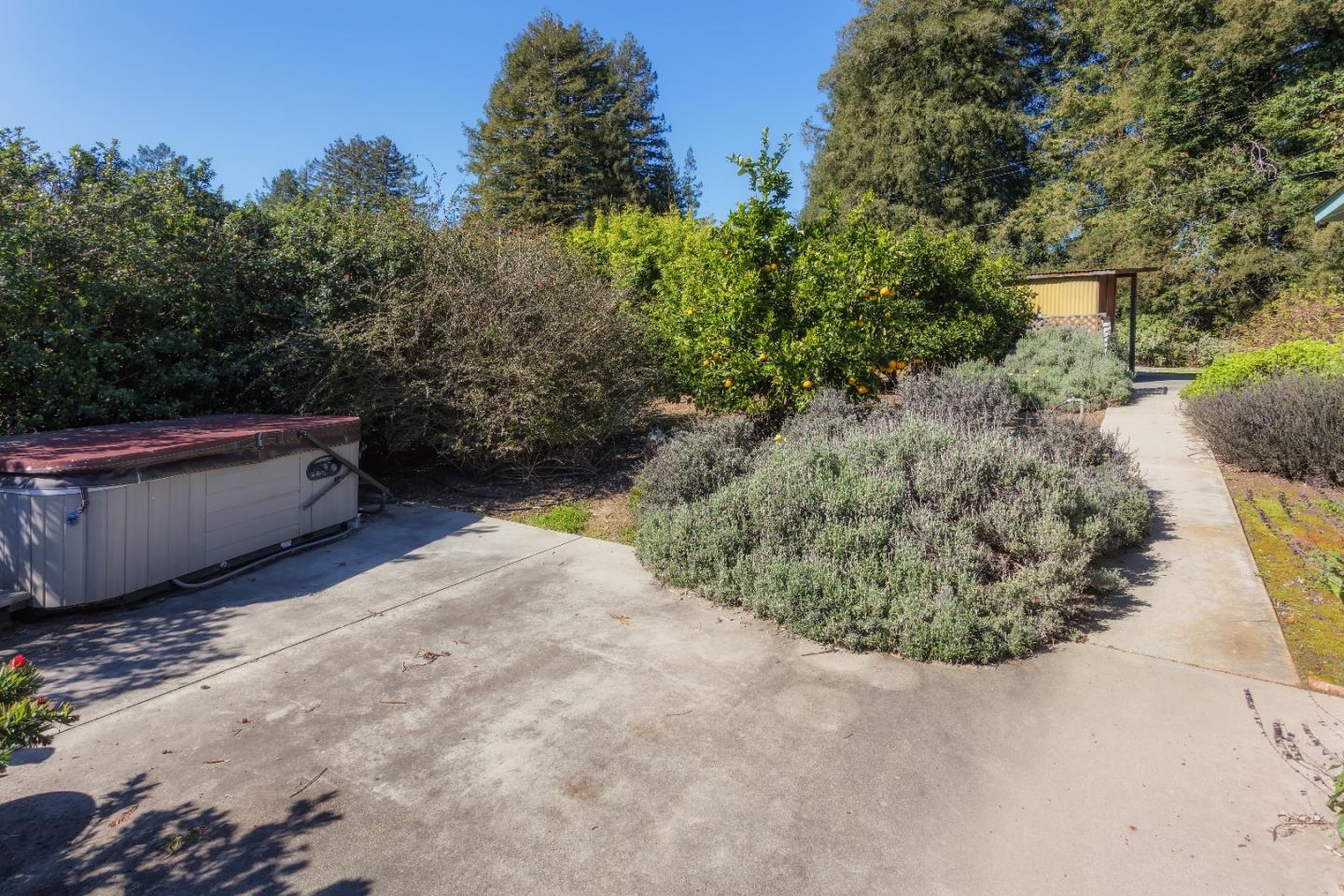 875 Calabasas Road Watsonville, CA 95076 - Photo 12 of 34 a view of outdoor space and yard