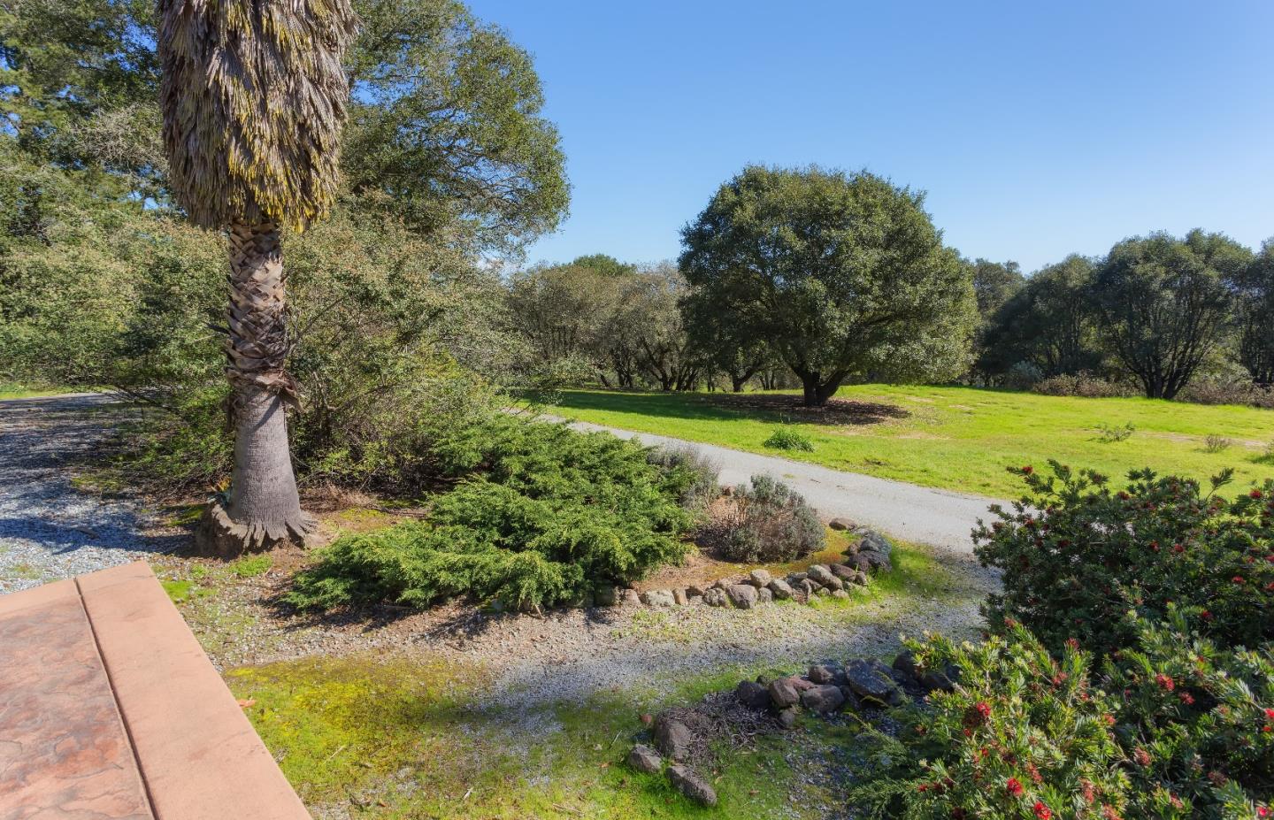 875 Calabasas Road Watsonville, CA 95076 - Photo 24 of 34 a view of a park with large trees