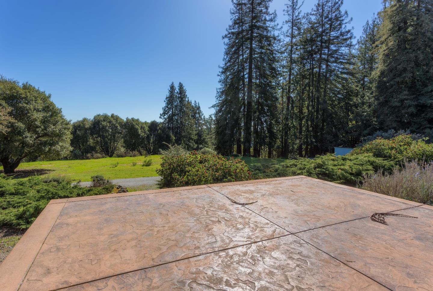 875 Calabasas Road Watsonville, CA 95076 - Photo 9 of 34 a view of a park with large trees