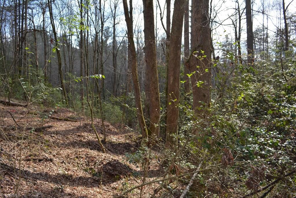 0 Mitchell Ridge Road Elkin, NC 28621 - Photo 5 of 29 Gallery Image 5