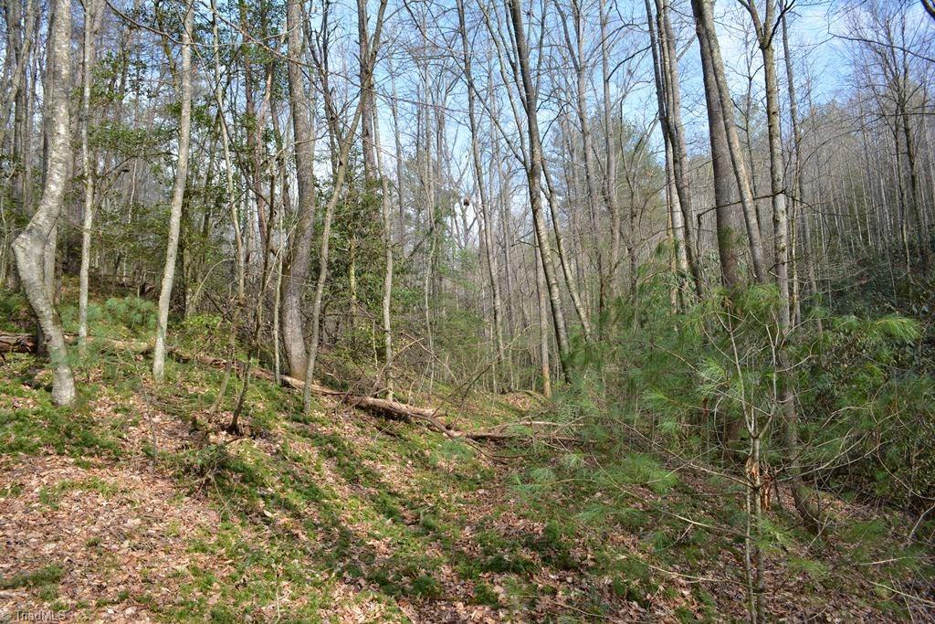 0 Mitchell Ridge Road Elkin, NC 28621 - Photo 7 of 29 Gallery Image 7