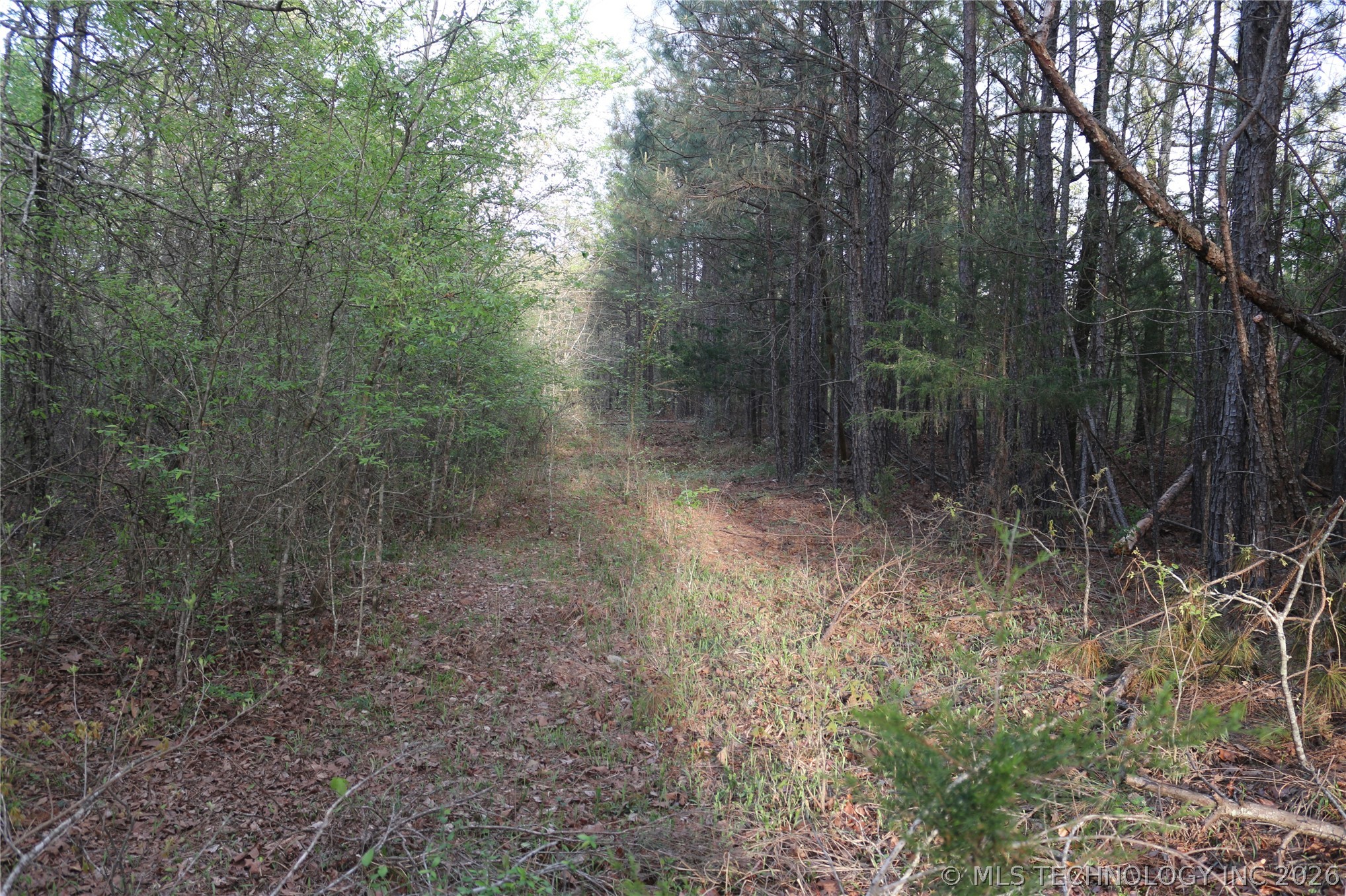 496 Wyr 56746 Road Broken Bow, OK 74728 - Photo 38 of 81 Gallery Image 38